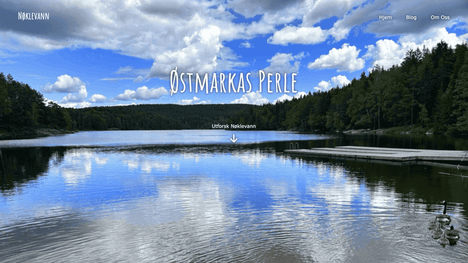 Blog